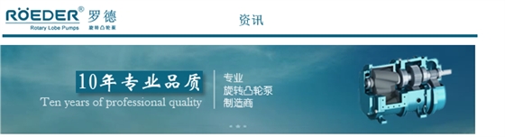 轉(zhuǎn)子泵 轉(zhuǎn)子泵
