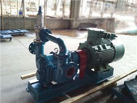 羅德轉子泵 羅德轉子泵