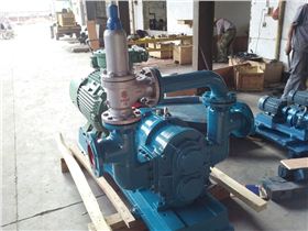 羅德凸輪轉(zhuǎn)子泵20160111 羅德凸輪轉(zhuǎn)子泵20160111