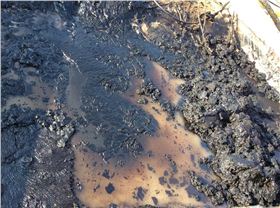 羅德轉子泵傳輸含顆粒無介質 羅德轉子泵傳輸含顆粒無介質