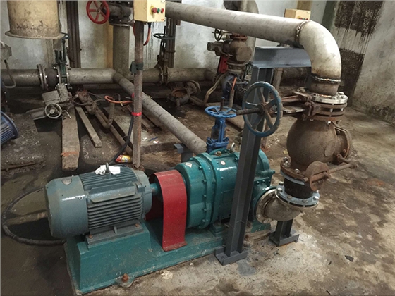 羅德污泥提升轉子泵1 羅德污泥提升轉子泵1