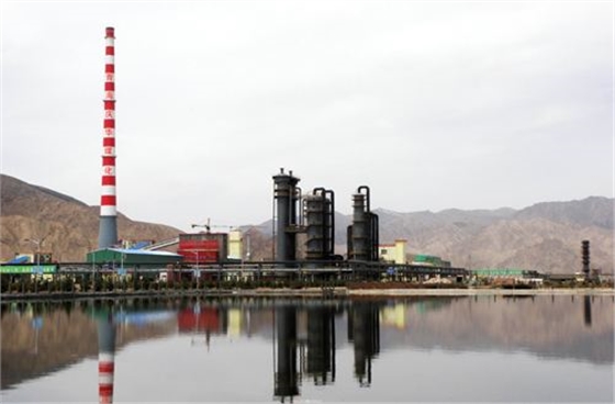 青海煤化工 青海煤化工