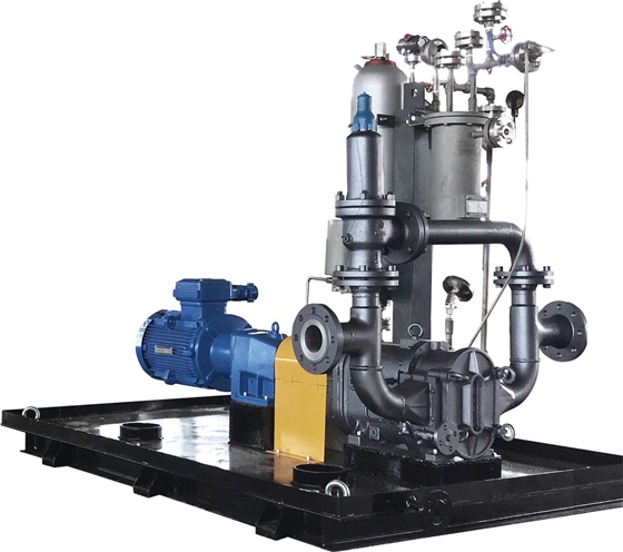 帶機封沖洗的轉子泵系統 帶機封沖洗的轉子泵系統