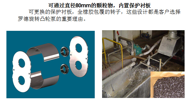 凸輪轉子泵 凸輪轉子泵