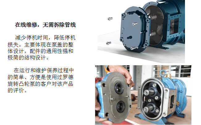 凸輪轉子泵 凸輪轉子泵