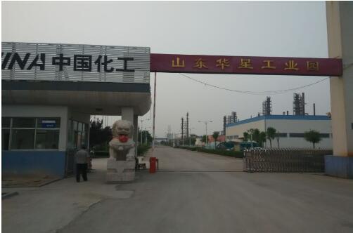 山東凸輪轉子泵-脫硫脫硝污泥泵